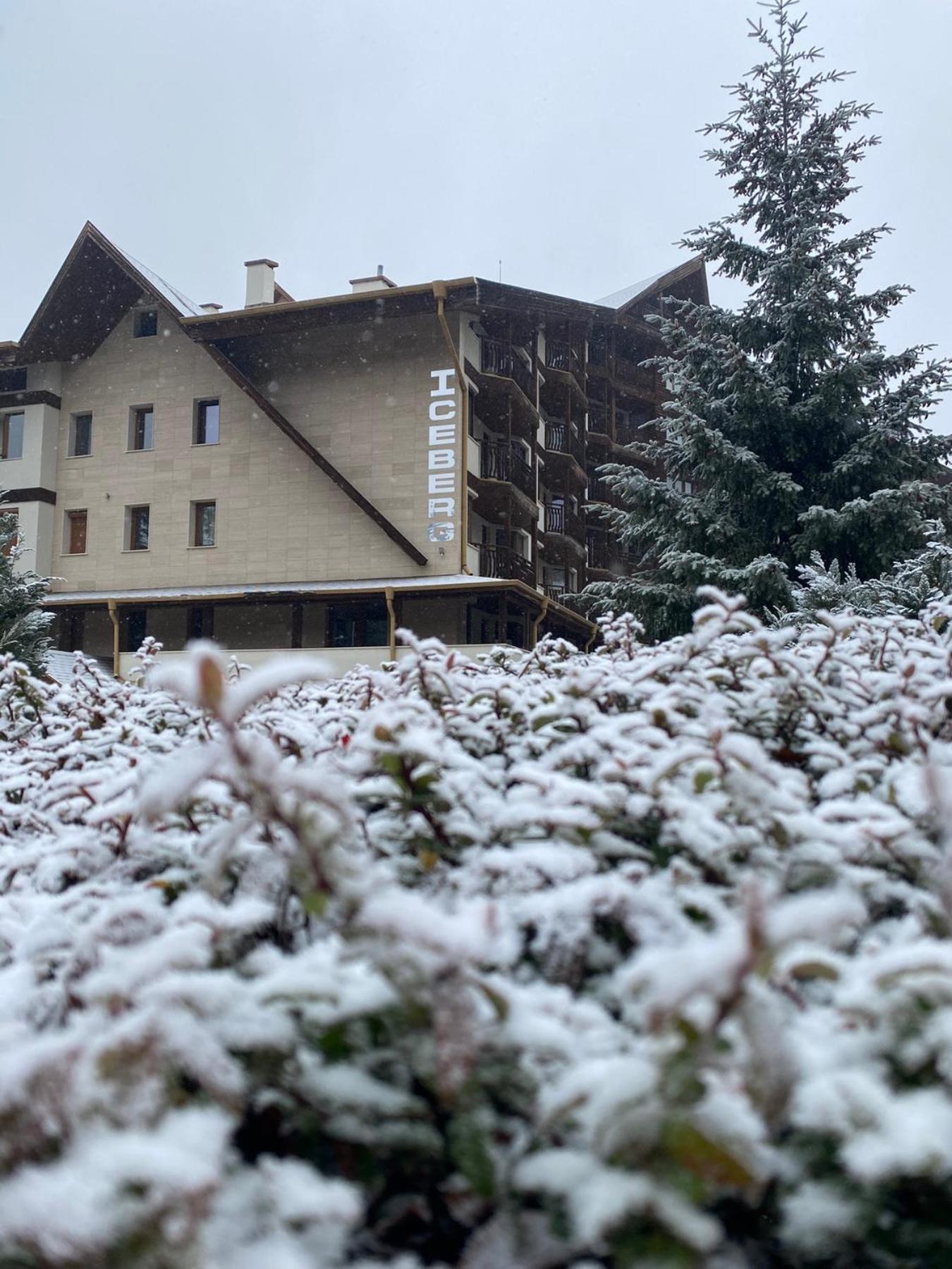 Hotel Iceberg Boroveț Exterior foto